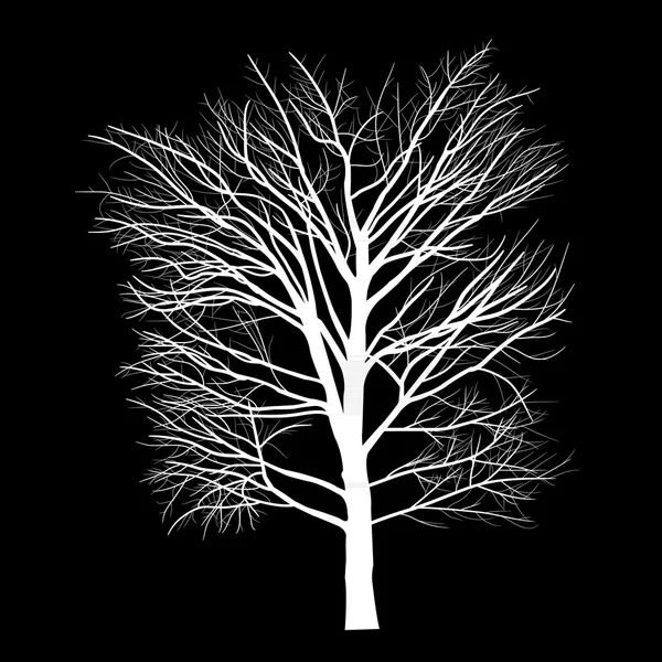 Pohon dengan cabang mati - Stok Vektor