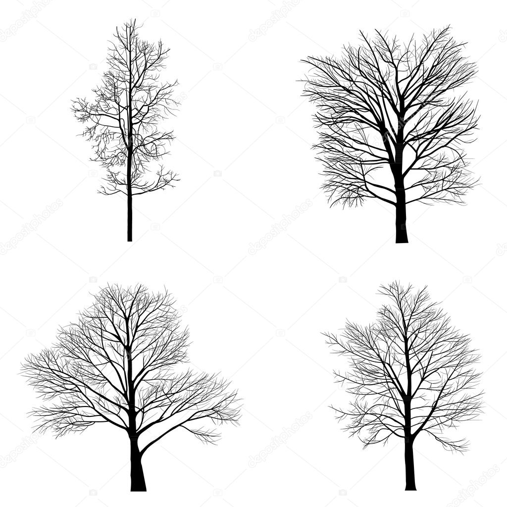 Trees with dead branch