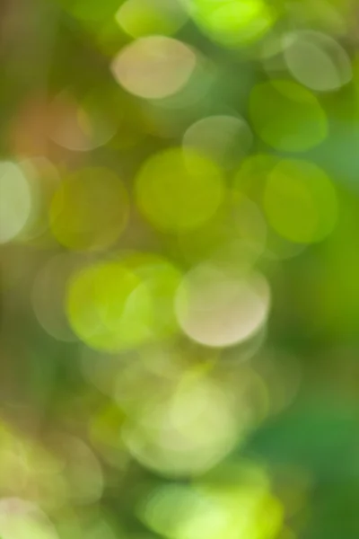 Bokeh abstrait vert — Photo