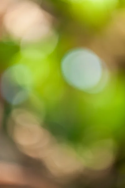 Bokeh verde abstrato — Fotografia de Stock