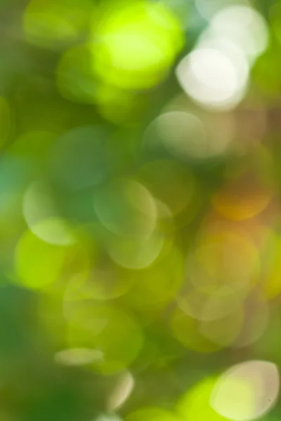 Bokeh verde abstrato — Fotografia de Stock