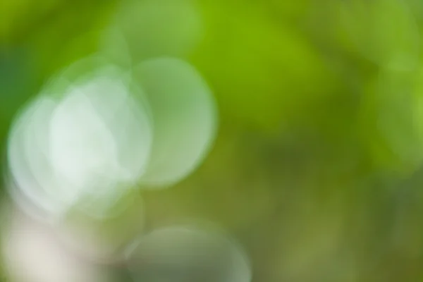 Green bokeh abstract — Stock Photo, Image