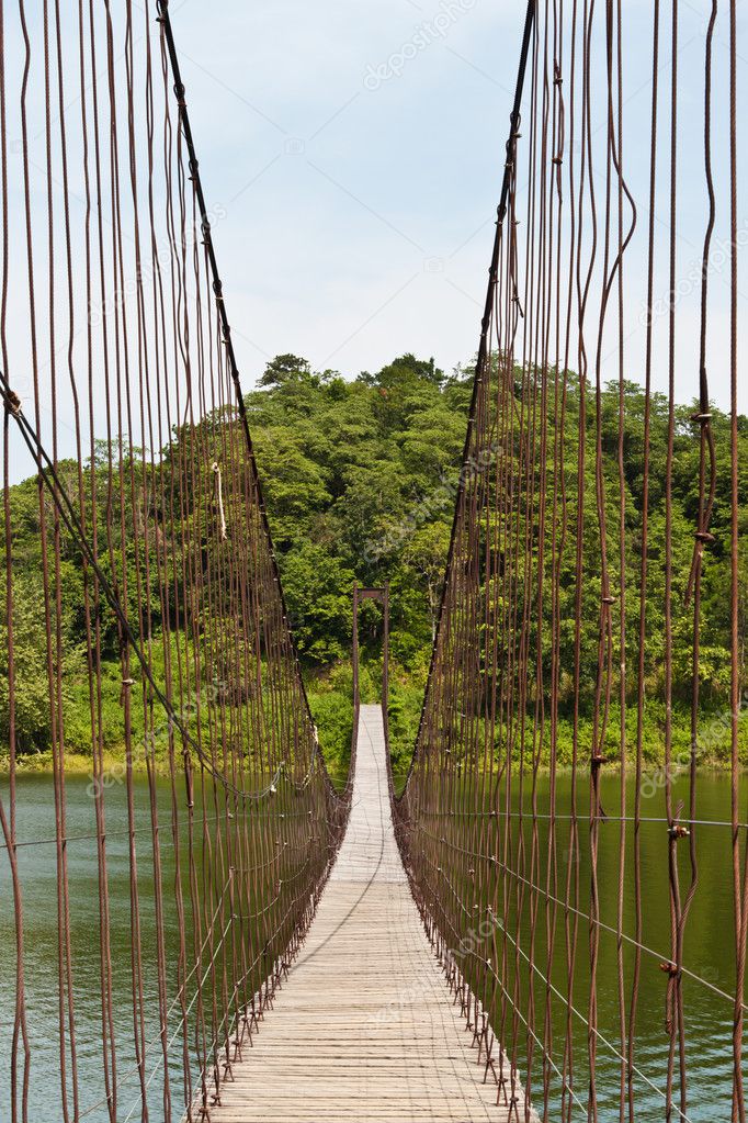 Hanging bridge in the forest