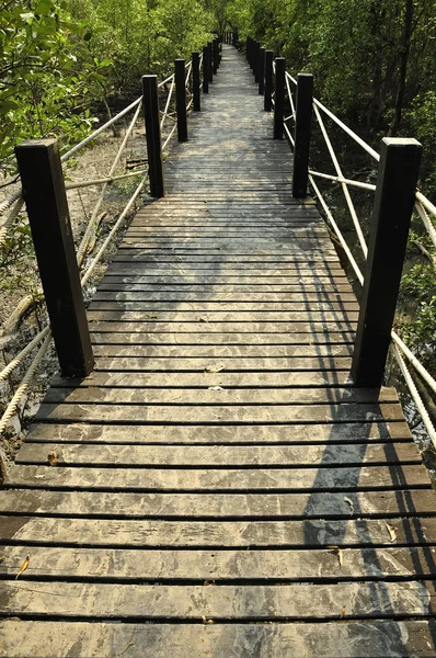 Ξύλινη γέφυρα στο πάρκο — Φωτογραφία Αρχείου
