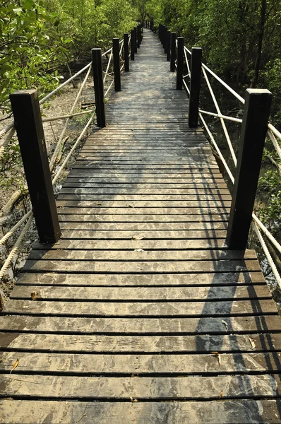 Wood bridge in park Royalty Free Stock Images