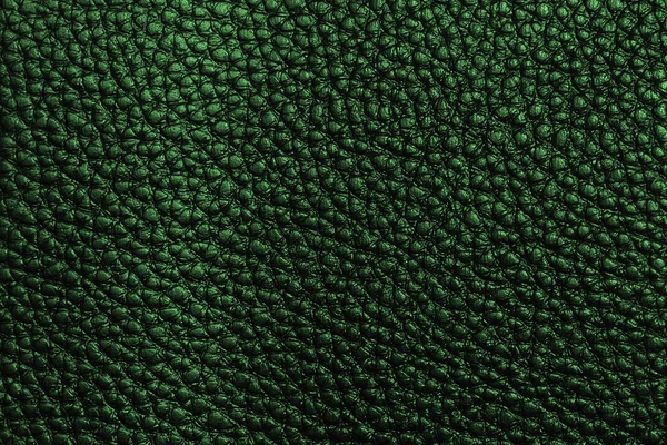 绿色皮革纹理 — 图库照片