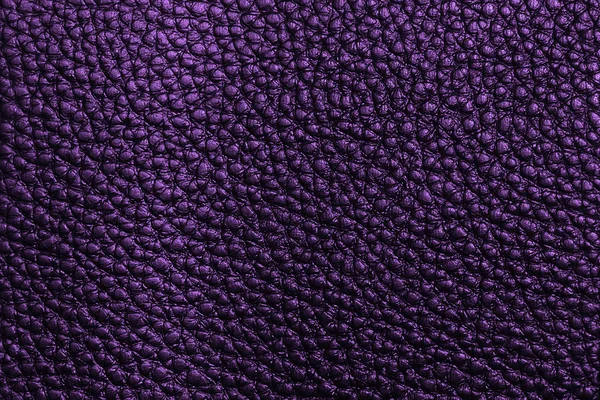 Violet leather texture — Stock Photo, Image