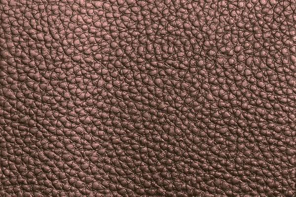 Brown leather texture — Stock Photo, Image