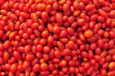 Birçok taze kırmızı domates yakın çekim