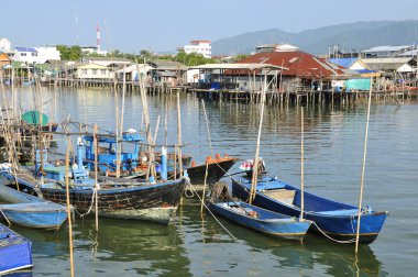 balıkçı tekne balık Market