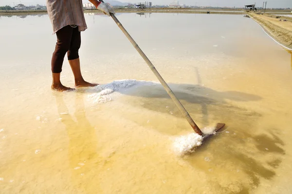 Zout boerderij in thailand, Azië — Stockfoto