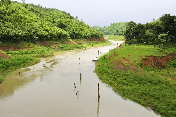 Paysage avec petite rivière et champ vert — Photo