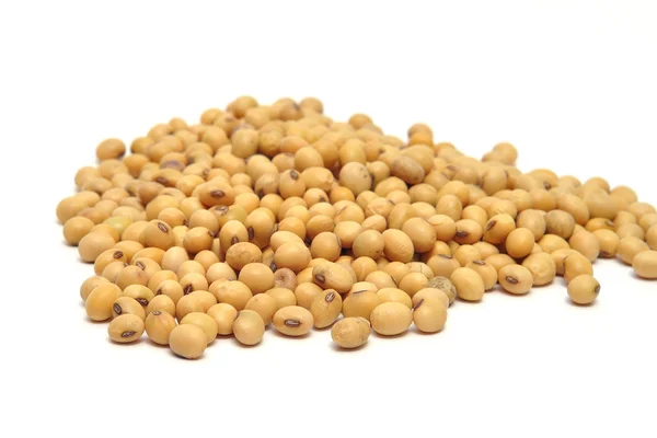 Soybean in isolated on white background — Stock Photo, Image