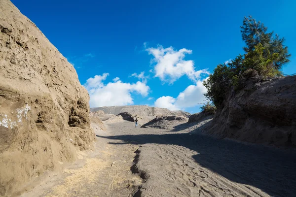 Bromo-Vulkane im bromo tengger semeru Nationalpark — Stockfoto