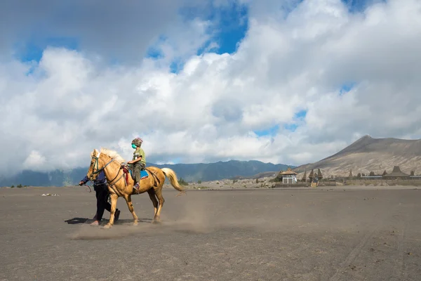 Tourists ride the horse at Mount Bromo Volcano — ストック写真