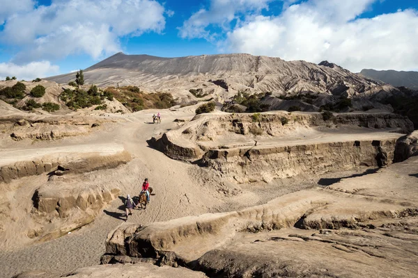 Turisté jezdit koně na hora bromo — Stock fotografie