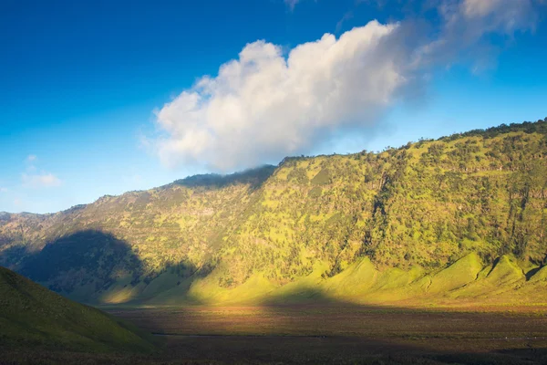 Sabana en los volcanes del Monte Bromo — Foto de Stock