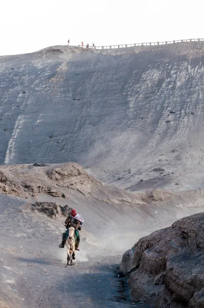 Jezdec na hora bromo — Stock fotografie