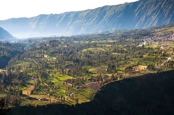 Vesnice na hora bromo bromo tengger semeru národním parku — Stock fotografie