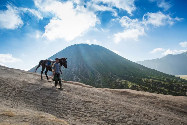 Cavalier au Mont Bromo — Photo