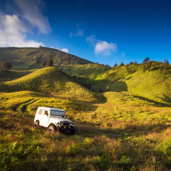 Jeep pour touristes à louer au Mont Bromo — Photo
