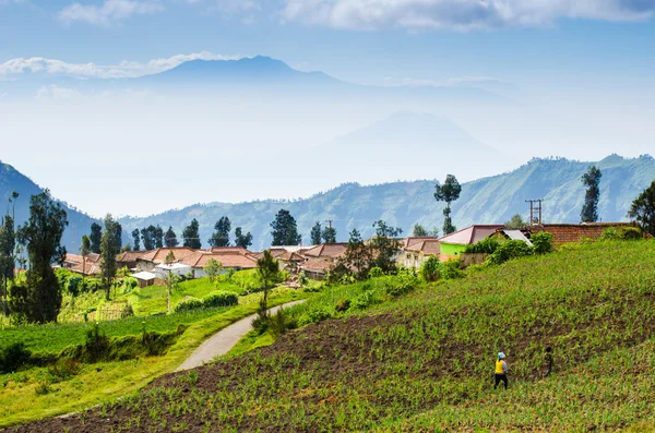 Pueblo en el Monte Bromo en el Parque Nacional Bromo Tengger Semeru —  Fotos de Stock