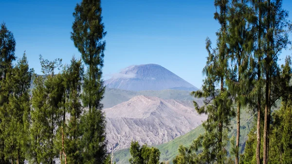 Mount semeru volkanlar bromo tengger semeru Milli Parkı — Stok fotoğraf