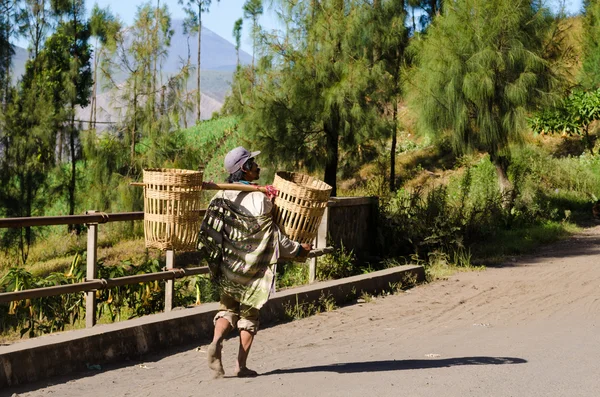 ブロモ山の近くの村で有効となるインドネシア プランター — ストック写真