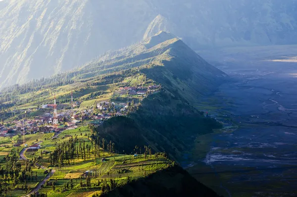 Wieś w górze bromo w bromo tengger semeru national park — Zdjęcie stockowe