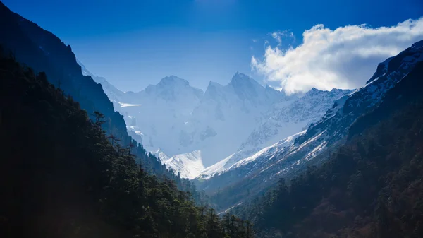 Montagna di neve con cielo blu a Sikkim, India — Foto Stock