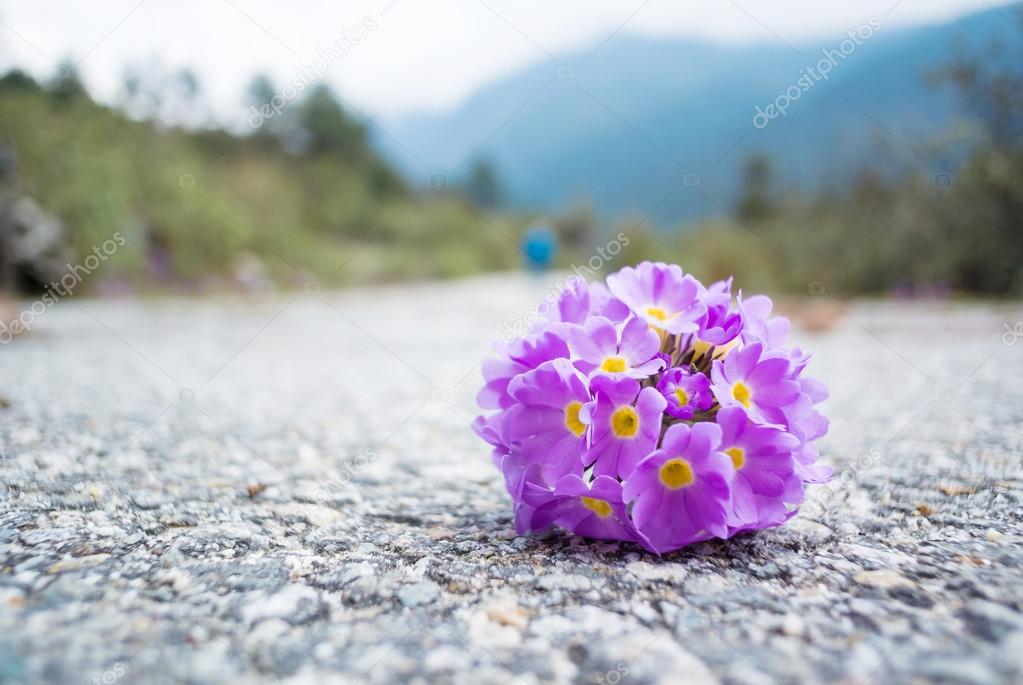 Beautiful flower drop on road
