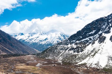 chopta Vadisi Kuzey sikkim Hindistan