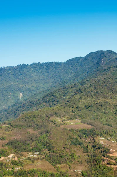 夏季山青水绿草景观 — 图库照片