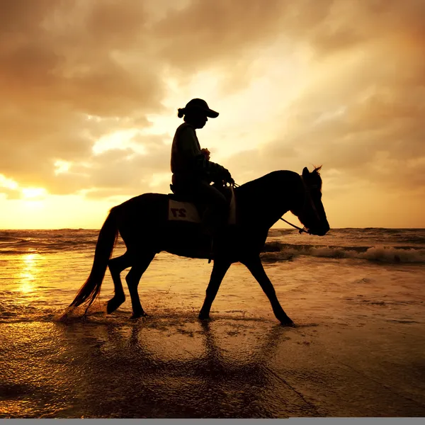Silhueta homem e cavalo na praia com o pôr do sol céu ambientalistas — Fotografia de Stock