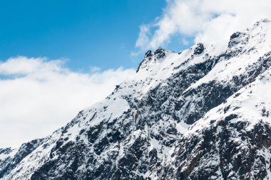 chopta Vadisi Kuzey sikkim Hindistan
