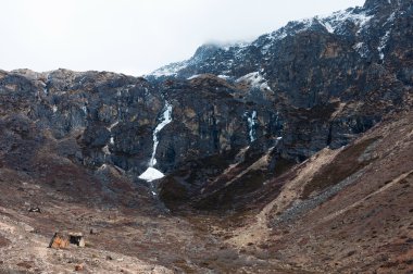 chopta Vadisi Kuzey sikkim Hindistan
