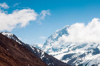 chopta Vadisi Kuzey sikkim Hindistan
