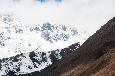 chopta Vadisi Kuzey sikkim Hindistan