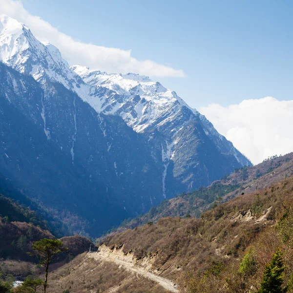 Chopta valley i norra sikkim Indien — Stockfoto