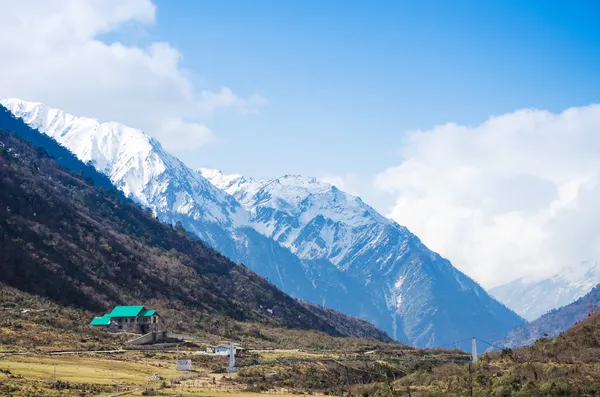 印度锡金北部的 chopta 谷 — 图库照片