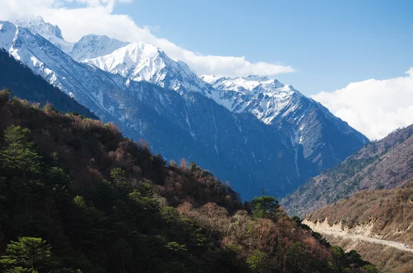 Valle de Chopta en el norte de Sikkim India — Foto de Stock