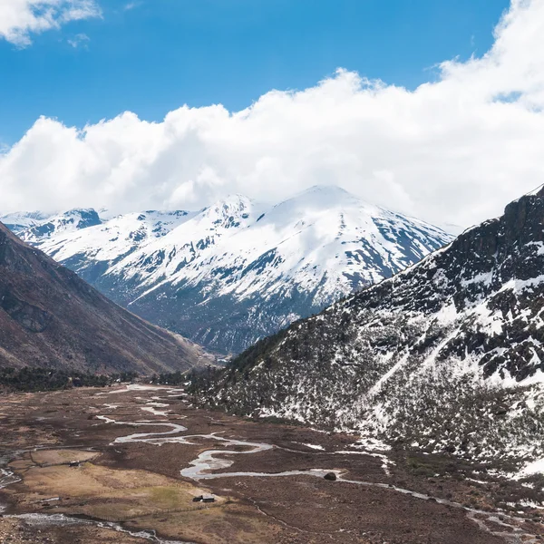 Vallée de Chopta dans le nord du Sikkim Inde — Photo