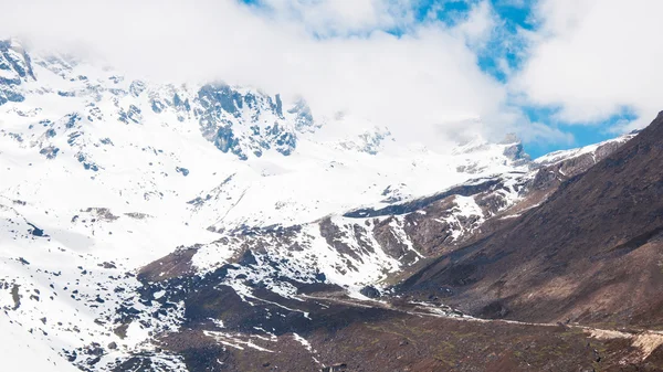 Chopta vallei in Noord sikkim, india — Stockfoto