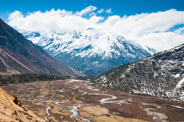 印度锡金北部的 chopta 谷 — 图库照片