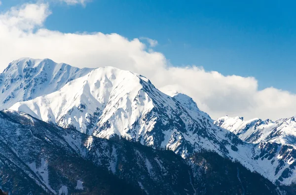 Chopta vallei in Noord sikkim, india — Stockfoto