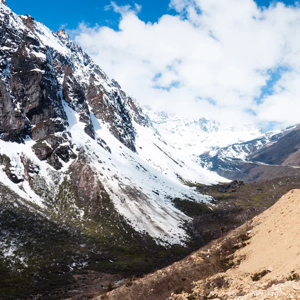 Vallée de Chopta dans le nord du Sikkim Inde — Photo