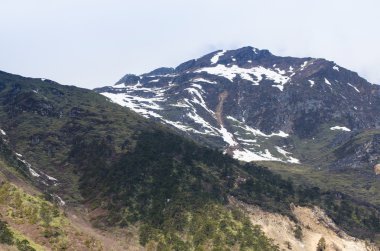 chopta Vadisi Kuzey sikkim Hindistan