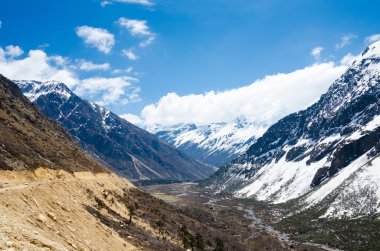 chopta Vadisi Kuzey sikkim Hindistan