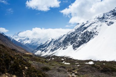 chopta Vadisi Kuzey sikkim Hindistan