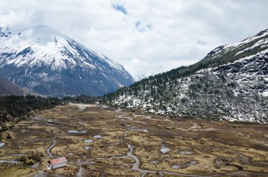 chopta Vadisi Kuzey sikkim Hindistan